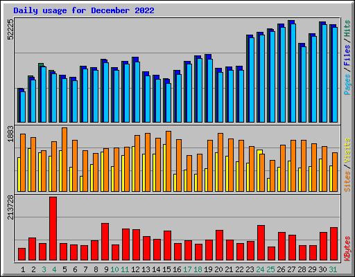 Daily usage for December 2022