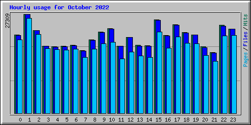 Hourly usage for October 2022