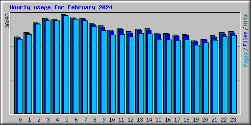 Hourly usage for February 2024