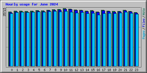 Hourly usage for June 2024