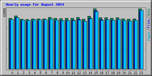 Hourly usage for August 2024