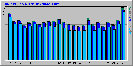 Hourly usage for November 2024