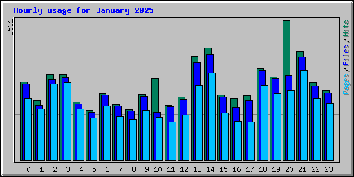 Hourly usage for January 2025