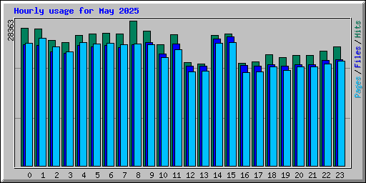 Hourly usage for May 2025