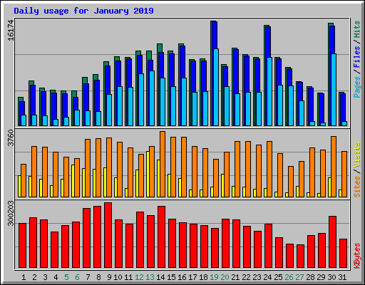 Daily usage for January 2019