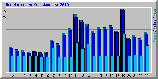 Hourly usage for January 2019