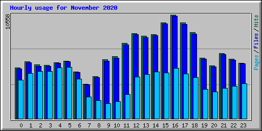 Hourly usage for November 2020