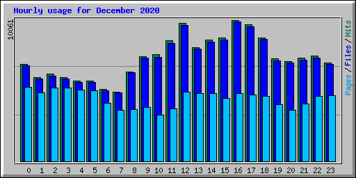 Hourly usage for December 2020