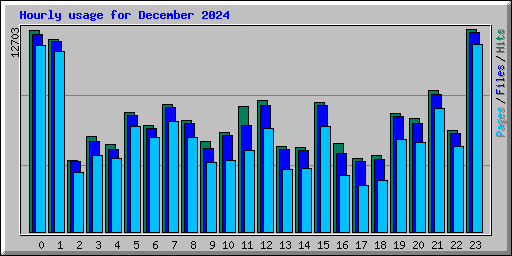 Hourly usage for December 2024