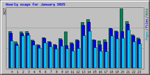 Hourly usage for January 2025