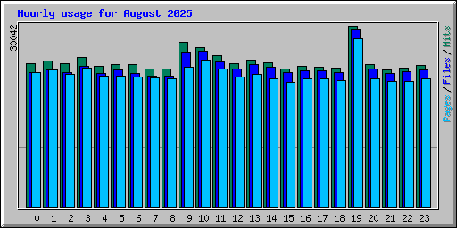Hourly usage for August 2025